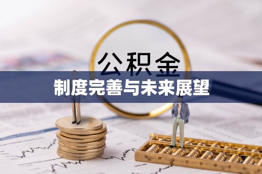 塘厦制度完善与未来展望