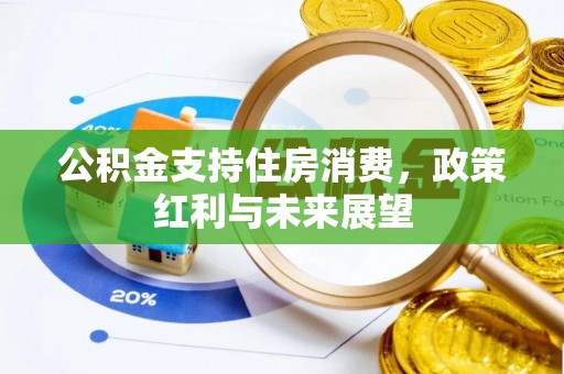 塘厦公积金支持住房消费，政策红利与未来展望