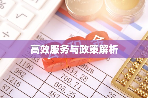 塘厦高效服务与政策解析
