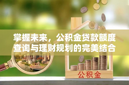 塘厦掌握未来，公积金贷款额度查询与理财规划的完美结合