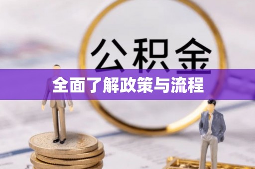 塘厦全面了解政策与流程
