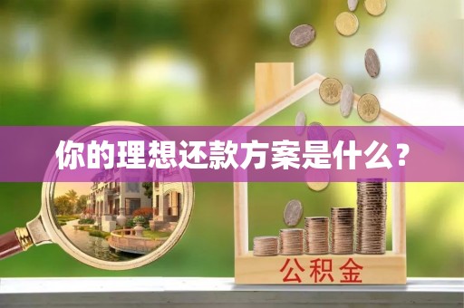 塘厦你的理想还款方案是什么？