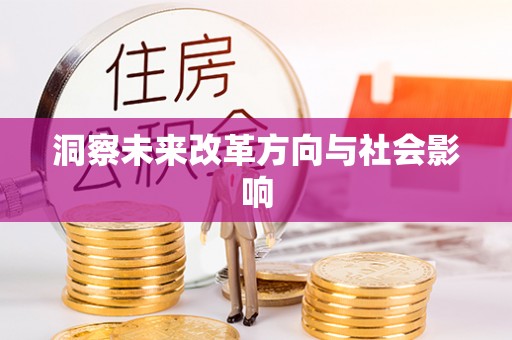 塘厦洞察未来改革方向与社会影响