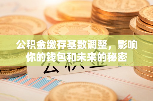 塘厦公积金缴存基数调整，影响你的钱包和未来的秘密